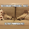 Thanksgiving-Memes-Featured.jpg