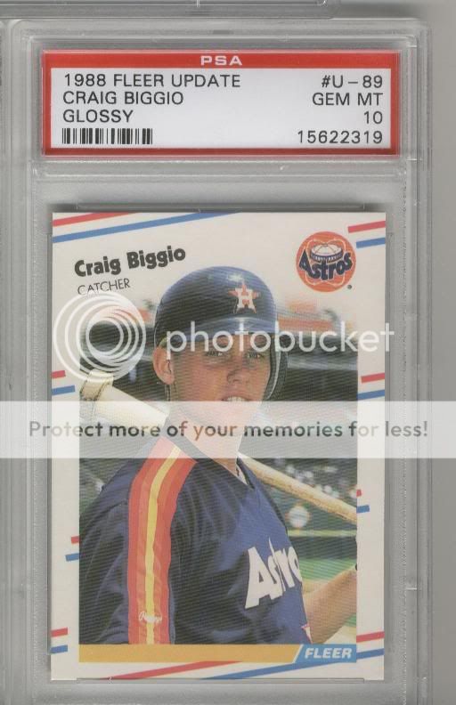 cbiggio88fuglsypsa10.jpg