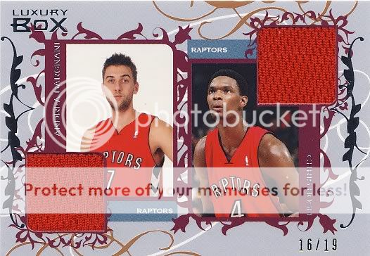 BargnaniBoshjersey.jpg