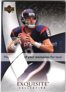 MattSchaub2007Exquisite.jpg