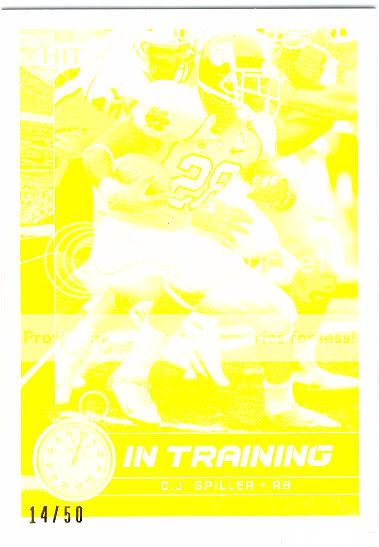 01CJSpillerSageHitInTrainingYellowC.jpg