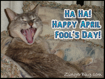 april_fools_laughing_cat.gif