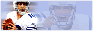 Manning-Banner-Auto-motion.gif